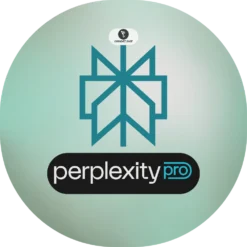 Perplexity Pro