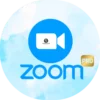 Zoom Pro Meeting