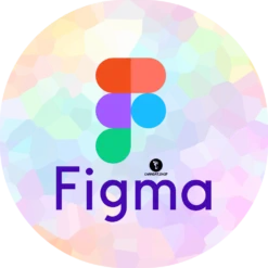 Figma Pro